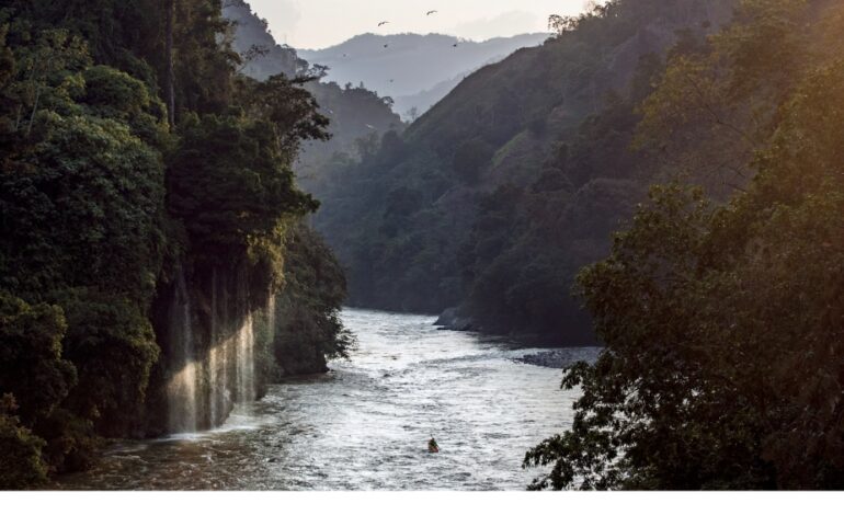  SAMANÁ FEST 2025 CELEBRANDO EL ÚLTIMO RÍO LIBRE DE ANTIOQUIA